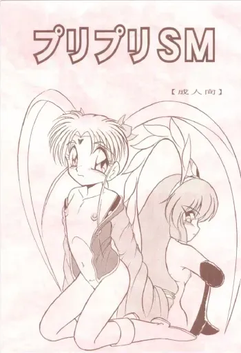 (Comic Castle 12) [White Elephant (Various)] PuriPuri SM (Mahou Shoujo Pretty Sammy) manga cover