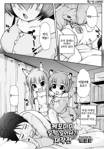 [LEE] Kemomimi Hayaoki Daisakusen | 케모미미 일찍 일어나기 대작전 (COMIC RiN 2011-08) [Korean] [LWND] manga cover