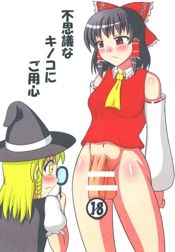 [Oreichigo (Yukino F Iwasuke)] Fushigi na Kinoko ni Goyoujin (Touhou Project) [Digital] manga cover