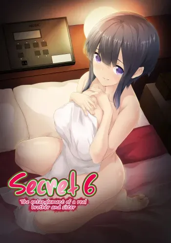 Himitsu 06 "Ima koko de" | Secret 6 - The entanglement of a real brother and sister manga cover