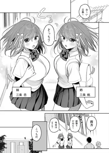[Amamiya Mizuki] Futago ga Koushuu Toilet de... manga cover