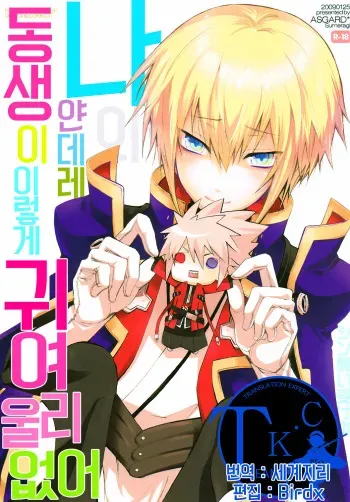 (Shotaket 13R) [ASGARD (Sumeragi)] Ore no Yandere Otouto ga Konna ni Kawaii Wake ga Nai (Blazblue) [Korean] [Team K·C] manga cover