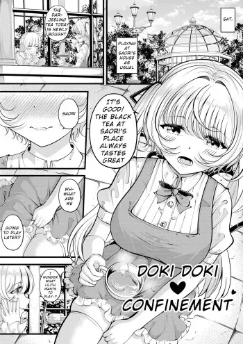 Lilith's Troubles—Doki Doki Confinement manga cover