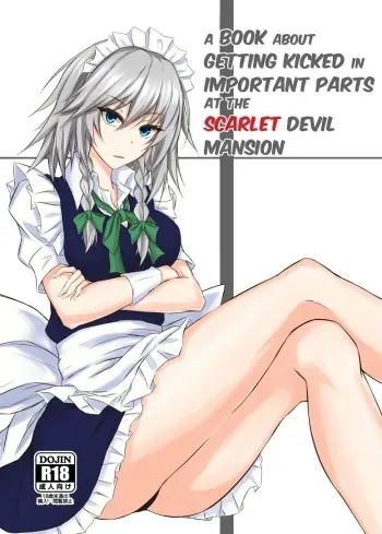 Koumakan de Daiji na Tokoro o Kerareru Hon | A book about getting kicked in important parts at the Scarlet Devil Mansion manga cover