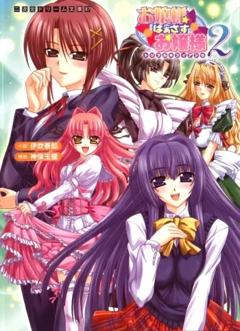 [Ibuki Yasuro × Sinbo Tamaran] Ojousama Versus Ojousama Double ★ Fiancée Vol.2 manga cover