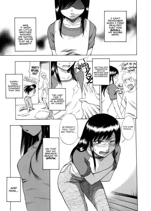 Tiny Boobs Giant Tits History - MEGA MILK manga cover