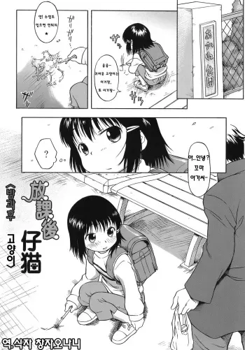 [Isawa Nohri] Houkago Koneko (Ah! Little Flower) [Korean] manga cover