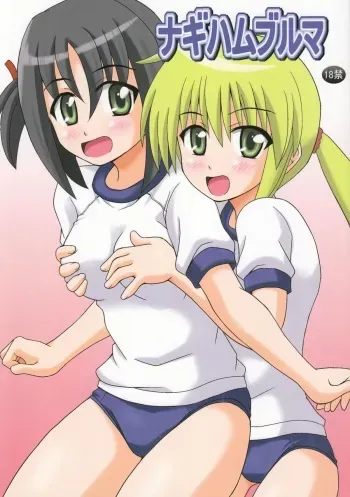 (C74) [Haresaku (KEN)] Nagi Hamu Bloomer (Hayate No Gotoku!) manga cover