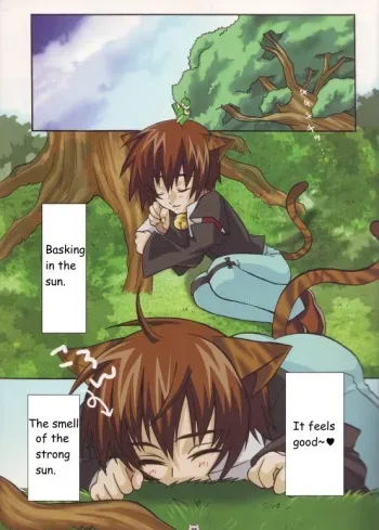 Nyandam SEED 2 manga cover