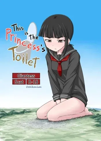 Koko wa Hime-sama no Toile desu manga cover
