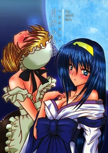 (SC28) [Visual She (Yoshizuki Minoru)] Tsuki no Serenade (Kannazuki no Miko) [Spanish] [Love Makko Suki] manga cover