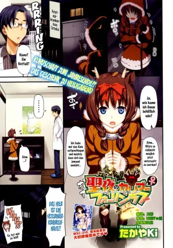 [Takayaki] Seiya No Caribou♀Fallin' Love (COMIC Megastore 2012-02) [German] {gu-de-handarbeit} manga cover