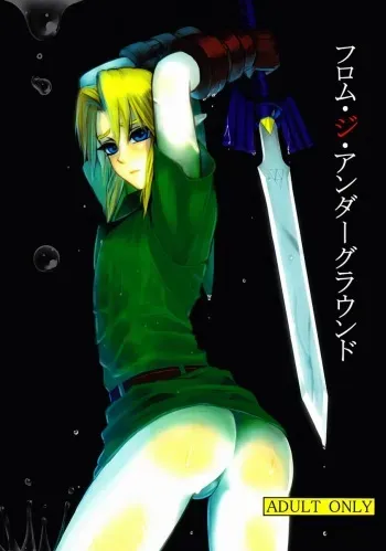 (C83) [Tricot (Stella.Ing)] From the Underground (The Legend Of Zelda) manga cover