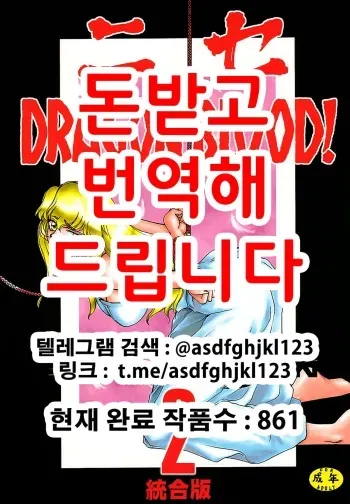 (C51) [LTM. (Taira Hajime)] Nise Dragon Blood! 2 [Korean] manga cover