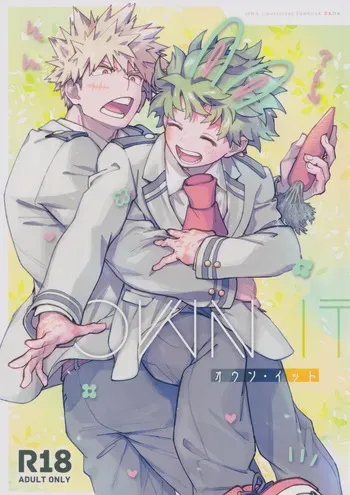 [NOT GET] Own It (Boku no Hero Academia) manga cover
