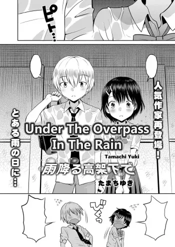Amefuru Kouka Shita de | Under The Overpass In The Rain manga cover