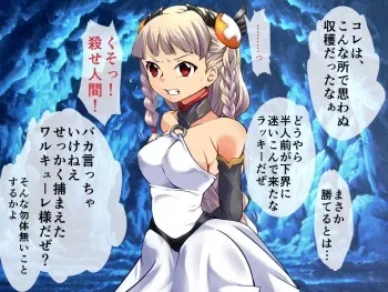 [Atelier Hachifukuan] Mon Musume & DISTRESS Sen Otome hokaku CG Shuu (Puzzle & Dragons) manga cover