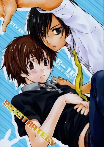 [Holiday School (Chikaya)] 99%STRATEGY (Summer Wars) manga cover