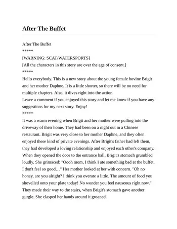 [Donker] After The Buffet manga cover