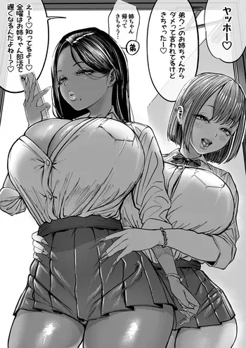 ツインギャルズの家凸 manga cover