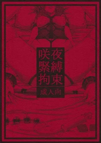 (Reitaisai 11) [Daiji na Koto wa Nikai mo Iwanai (Hasebe soutsu)] Sakuya Kinbaku Kousoku (Touhou Project) manga cover