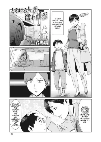 Melting Housewife . Wet Pistil manga cover