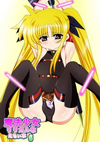 [Nekoya] Mahou Shoujo Lyrical na Echii Hon 6 (Mahou Shoujo Lyrical Nanoha) manga cover