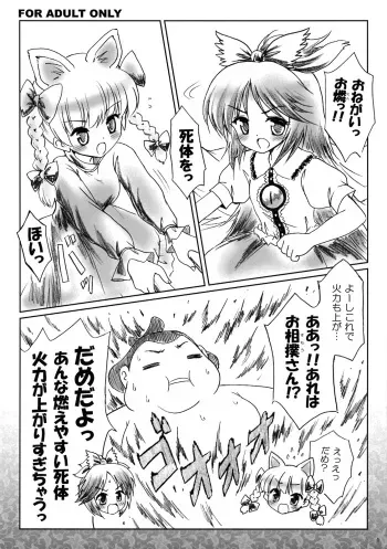 (SC41) [54burger (Marugoshi)] Copy Hon (Touhou Project) manga cover