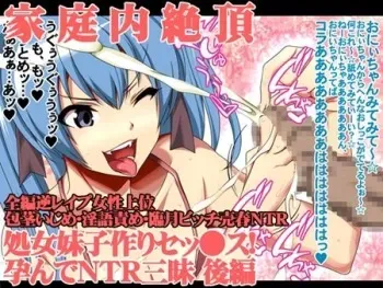 [Seigadou (hato)] Kateinai Zecchou - Shojo Mai Kozukuri Sex! Harande NTR Zanmai Kouhen manga cover