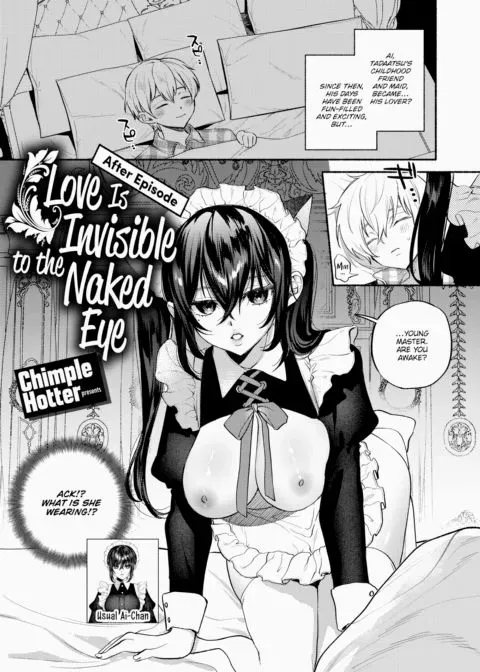 Love Is Invisible to the Naked Eye - After Story manga cover
