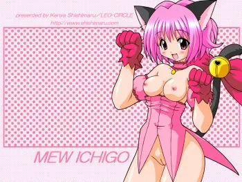 [Leo-Cricle] Delusion Mew Mew(Tokyo Mew Mew) manga cover