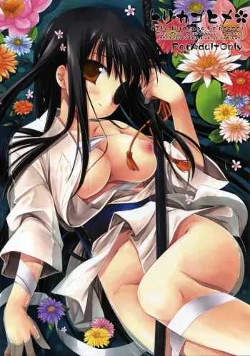 (SC36) [D.N.A.Lab. (Miyasu Risa)] Torikagohime The Birdcage Princess (Gintama) manga cover