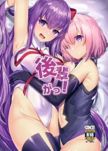 (C96) [Heruduki (35 Machi)] Kouhai ga! | 후배가! (Fate/Grand Order) [Korean] [몰길] manga cover