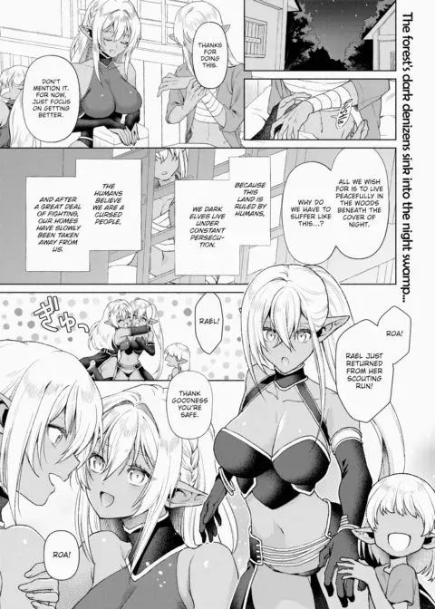 Fallen Twin Princesses manga cover