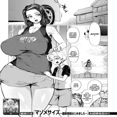 Countryside Toy ~Inaka De Omocha~ [Original] manga cover