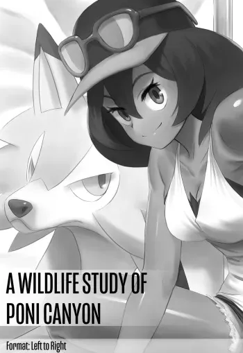 [Jiffic] A Wildlife Study of Poni Canyon (Pokemon) manga cover