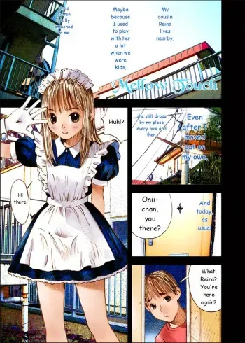 Mizumo Selection 4 ～Onichan to issho～ manga cover