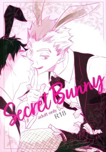 Secret Bunny manga cover