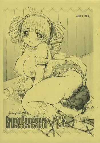 (C69) [SAOTOME-Laboratory (Saotome Mondonosuke)] Bruno Cameriera e Youkoso manga cover