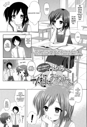 Ichininshou wa Oneechan! manga cover