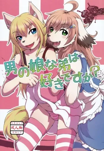 (C83) [Miburi (Miga, Izumi Yoshikazu)] Otokonoko na Otouto wa Suki desu ka? manga cover