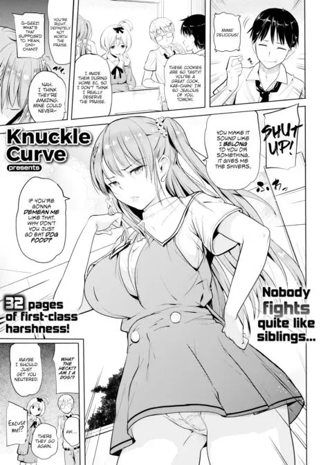 Big Brother Appreciation Day manga cover
