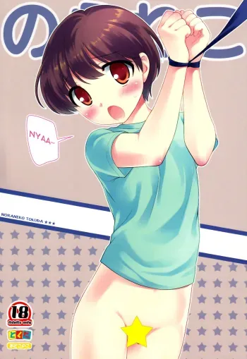 Noraneko manga cover