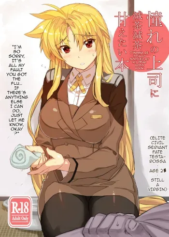 [Studio Himawari (Himukai Kyousuke)] Akogare no Joushi ni Mechamecha Amaetai Hon | I Wanna be Totally Spoiled by My Dear Boss Book (Mahou Shoujo Lyrical Nanoha) [English] {darknight} [Digital] manga cover