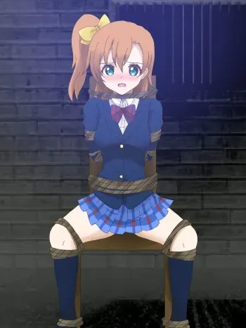 [Soo] Kosaka Honoka Goumon, Shokei Goumon (Love Live!) manga cover