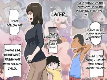 The Consequence of the Birthrate Solution Law... 3 manga cover