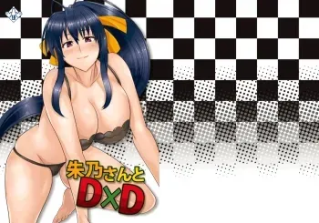 Akeno-san to DxD manga cover