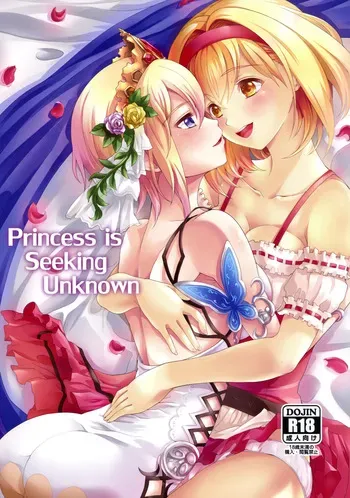 (C95) [Memoria (Tilm)] Princess is Seeking Unknown (Granblue Fantasy) (MTL) manga cover