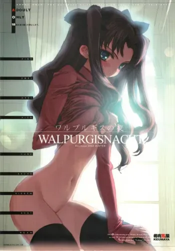(C67) [Keumaya (Inoue Junichi)] Walpurgisnacht / Walpurgis no Yoru (Fate/stay night) manga cover