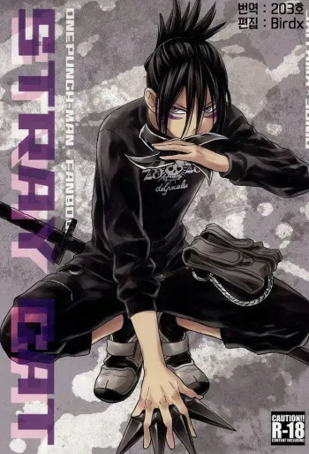 (C86) [LITHIUM (Yukimaru)] stray cat (One Punch Man) [Korean] [Team K·C] manga cover